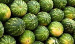 热点吃瓜,吃瓜群众如何解读明星事件